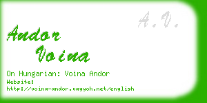 andor voina business card